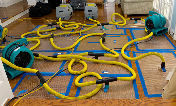 Professional Sewage Cleanup technician working in Covington, OH